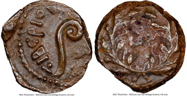 JUDAEA. Roman Procurators. Pontius Pilate (AD 26-36). AE prutah (15mm, 9h). NGC VF. Jerusalem, dated Regnal Year 17 of Tiberius (AD 30). TIBEPIOY KAIC...