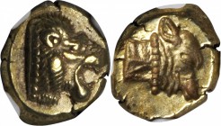 LESBOS. Mytilene. EL Hekte (2.53 gms), ca. 521-478 B.C. NGC Ch AU, Strike: 4/5 Surface: 5/5.

Bodenstedt-13. Head of lion facing right; Reverse: Inc...