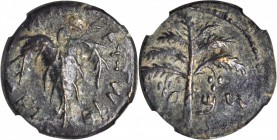 JUDAEA. Bar Kochba Revolt, A.D. 132-135. AE Middle Bronze (10.22 gms), ND ca. Year 3 (A.D. 134/5). NGC VF, Strike: 4/5 Surface: 3/5.

Mildenberg-85 ...