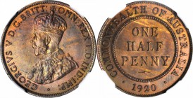 AUSTRALIA. 1/2 Penny, 1920. NGC MS-64 BN.

KM-22. Highly attractive with silky luster and faintly iridescent toning.