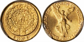 MEXICO. 1/20 Onza, 1987-Mo. Mexico City Mint. PCGS MS-66 Gold Shield.

Fr-181c; KM-530. Sharply struck with soft satin luster, brilliant and attract...