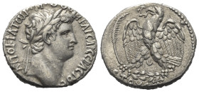 Seleukis und Pierien. Antiochia am Orontes. Otho (69 n. Chr.).

 Tetradrachme (Silber).
Vs: Kopf des Vespasianus mit Lorbeerkranz rechts.
Rs: Adle...