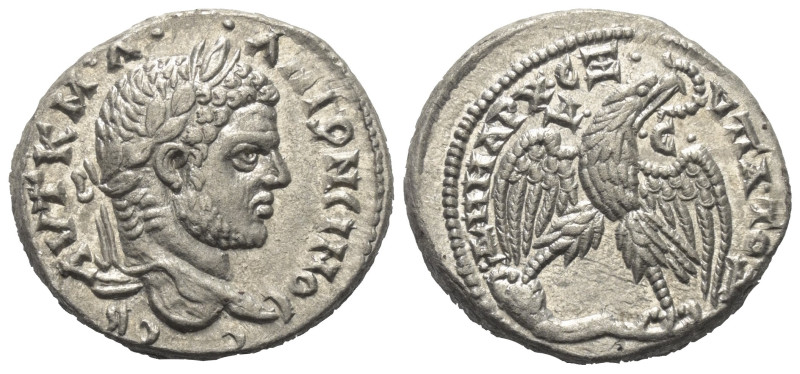 Seleukis und Pierien. Antiochia am Orontes. Caracalla (197 - 217 n. Chr.).

 T...
