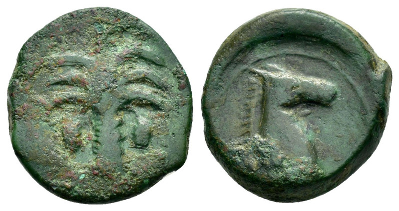 CARTHAGE.(Circa 4th-3rd century BC).Sicily.Ae.

Obv : Palm tree with two date cl...