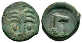 CARTHAGE.(Circa 4th-3rd century BC).Sicily.Ae.

Obv : Palm tree with two date clusters.

Rev : Head of horse to right.
SNG Copenhagen 102-105; HGC 2, ...