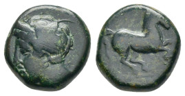 CARTHAGE.(Circa 4th-3rd century BC).Sicily.Ae.

Obv : Wreathed male head to left, wearing earrings.

Rev : Horse galloping to right.
HGC 2, 1668.

Con...