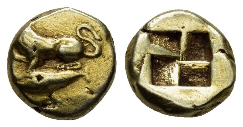 MYSIA. Cyzikos.(circa 500-450 BC). EL Hekte - 1/6 Stater.

Obv : Lioness or pa...