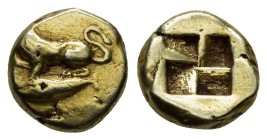 MYSIA. Cyzikos.(circa 500-450 BC). EL Hekte - 1/6 Stater.

Obv : Lioness or panther at bay left on tunny left.

Rev : Quadripartite incuse square....