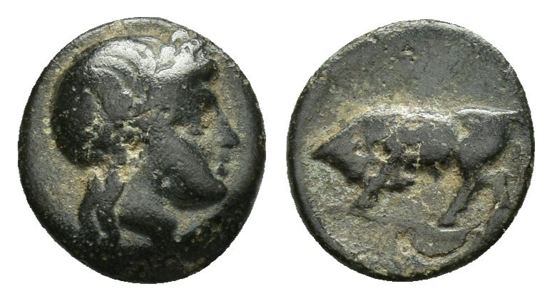MYSIA. Gambrion.(4th century BC).Ae.

Obv : Laureate head of Apollo right.

Rev ...