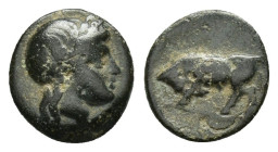 MYSIA. Gambrion.(4th century BC).Ae.

Obv : Laureate head of Apollo right.

Rev : Bull butting left; star above.
BMC 17; SNG Copenhagen 156.

Conditio...