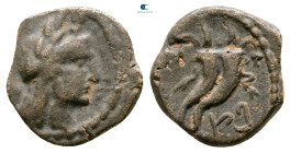 Nabataean Kingdom. Petra. Aretas IV 9 BC-AD 40. Bronze Æ