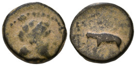 Seleukid Kings of Syria. Antiochos III 'the Great' Æ 11mm, 1,70g