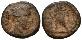 PTOLEMAIC KINGS of EGYPT. Berenike II, wife of Ptolemy III, circa 244/3-221 BC. uncertain mint on the north Syrian coast. Diademed and draped bust rig...
