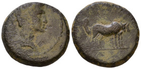 Macedon. Philippi, Tiberius. 14-37 AD. TI AVG, bare head of Tiberius right / Two priests plowing right with yoke of oxen. AE 17mm, 5,31g.