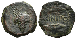 HISPANIA ANTIGUA. ACINIPO. Unidad. A/ Racimo de uvas, 2 estrellas en la parte superior. R/ Dos espigas a der., en medio ACINIPO. AE 8,54 g. 25,6 mm. I...