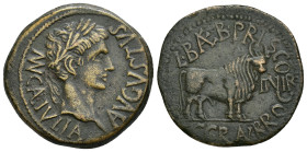 HISPANIA ANTIGUA. CALAGURRIS. Augusto. As. A/ Cabeza laureada a der.; MVN CAL IVLIA AVGVSTVS. R/ Toro a der., delante II VIR; L BAEB PRISCO-C GRAN BRO...