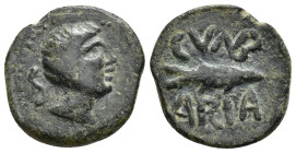 HISPANIA ANTIGUA. CUMBARIA. Semis. A/ Cabeza masculina a der., detrás S. R/ Atún a der.; CVNB/ARIA. AE 4,84 g. 21,4 mm. I-878; ACIP-2620. Pátina verde...