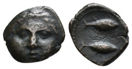 HISPANIA ANTIGUA. GADIR. Cuarto. A/ Cabeza frontal. R/ Dos atunes. AE 1,52 g. 13,6 mm. I-1333; ACIP-644. MBC-/MBC+.