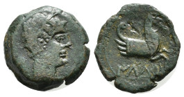 HISPANIA ANTIGUA. ILTURO. Cuarto. A/ Cabeza masculina a der. R/ Prótomo de Pegaso a der., debajo sobre linea ILTuRO. AE 3,94 g. 17 mm. I-1443; ACIP-13...