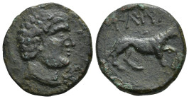 HISPANIA ANTIGUA. ILTIRTA. Unidad. A/ Cabeza masculina a der. R/ Lobo avanzando a der.; ILTiRTa. AE 8,98 g. 23,4 mm. I-1475; ACIP-1269. Pátina oscura ...