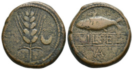HISPANIA ANTIGUA. ILSE. Unidad. A/ Espiga, a der. creciente. R/ Sábalo a izq., debajo A, en medio entre líneas ILSE. AE 20,37 g. 30,9 mm. I-1551; ACIP...