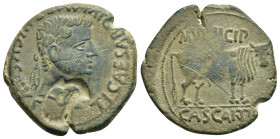 HISPANIA ANTIGUA. CASCANTUM. Tiberio. As. A/ Cabeza laureada a der.; TI CAESAR DIVI AVG F AVGVSTVS. R/ Toro a der.; MVNICIP/CASCANT. AE 11,06 g. 28,1 ...