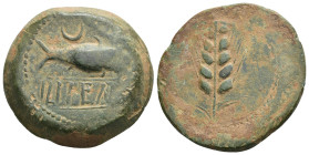 HISPANIA ANTIGUA. ILIPA. Unidad. A/ Sábalo a der., encima creciente, debajo ILIPENSe entre líneas. R/ Espiga. AE 27,42 g. 32,9 mm. I-1531; ACIP-2335. ...