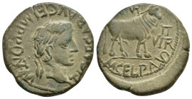 HISPANIA ANTIGUA. TURIASU. Tiberio. As. A/ Cabeza laureada a der.; TI CAESAR AVG F IMP PONT M. R/ Toro a der.; (MVN) TVR; L CAEC AQVIN- M GEL PALVD, I...