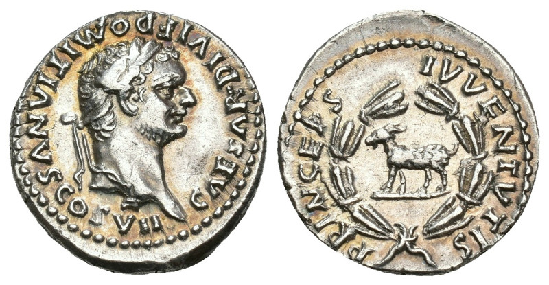 IMPERIO ROMANO. DOMICIANO (bajo Tito). Denario. Roma (80-81 d.C.). A/ Cabeza lau...