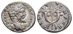 IMPERIO ROMANO. SEPTIMIO SEVERO. Denario. Emesa (194-195). A/ Cabeza laureada a der.; IMP CAE L SEP SEV PERT AVG COS II. R/ Espiga entre dos cornucopi...