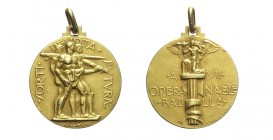 Opera Nazionale Balilla

Medaglia al merito dell'Opera Nazionale Balilla anno VIII 1929, opus F.M. Lorioli e Castelli, Au, 24mm, 7,1g, RRR, SPL
