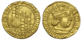 Napoli Ducato 1458-1494 C

Napoli, Ferdinando I d'Aragona (1458-1494), Ducato, Rara, MIR 64/6 Au mm 21,3 g 3,49, BB+