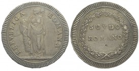 Roma Scudo 1798-1799

Roma, Prima Repubblica Romana (1798-1799), Scudo, Rara Ag mm 42 g 26,25, patina da lungo riposo, buon BB