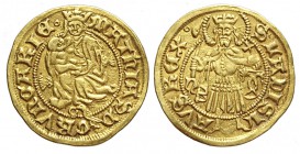 Hungary Goldgulden 1458-1490

Hungary, Matthias Corvinus (1458-1490), Goldgulden, Au mm 21 g 3,53, BB-SPL