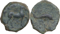 Greek Italy. Northern Apulia, Salapia. AE 20 mm. c. 275-250 BC. Obv. Horse stepping right; above, ΔAIOY; below, Λ. Rev. Dolphin right; below, [ΣAΛ]AΠI...