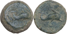 Greek Italy. Northern Apulia, Salapia. AE 15 mm, 275-250 BC. Obv. Dolphin right. Rev. Dolphin right. HN Italy 689; HGC 1 642. AE. 3.99 g. 14.70 mm. VF...