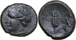 Greek Italy. Southern Lucania, Heraclea. AE 19 mm. c. 281-272 BC. Obv. Head of Demeter left. Rev. HPAKΛEIΩN. Ear of barley. HN Italy 1442; SNG ANS 99....