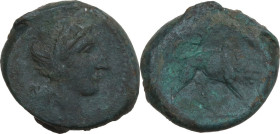 Anonymous. AE Double litra, uncertain mint in south Italy, 275-270 BC. Obv. Female head right. Rev. Lion right. Cr. 16/1a. AE. 11.25 g. 22.70 mm. R. R...
