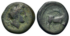 Italy, Campania, Neapolis, c. 317-270 BC. Æ (17mm, 3.5g). Laureate head of Apollo r. R/ Man-headed bull walking to right, head facing; above, dolphin ...