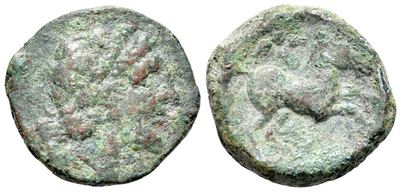 Italy, Northern Apulia, Salapia, c. 225-210 BC. Æ (20mm, 6.90g, 12h). Laureate h...