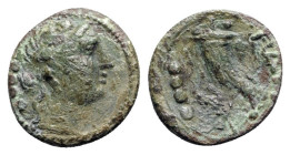 Italy, Northern Lucania, Paestum, 218-201 BC. Æ Triens (17mm, 2.85g, 9h). Female head r., wearing ivy wreath. R/ Cornucopia. Crawford, Paestum 6/1; HN...