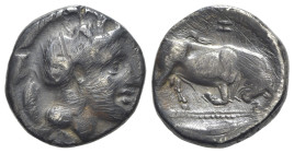 Italy, Southern Lucania, Thourioi, c. 350-300 BC. AR Stater (20mm, 7.21g, 9h). Head of Athena r., wearing crested Attic helmet decorated with Skylla h...