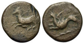 Sicily, "Kainon", c. 360-340 BC. Æ (19,3mm, 7.2g). Griffin springing l. R/ Horse prancing l., trailing rein. Campana 1; CNS I, 1; SNG ANS 1169-74 (Ala...