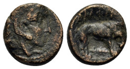 Macedon, Amphipolis, c. 148-32/1 B.C. Æ (13mm 3,20g.). Head of Herakles right, wearing lion's skin headdress. R/ [A]MΦIΠ[O]ΛITΩN, lion standing right;...