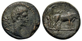 Augustus (27 BC–14AD). Macedon, Philippi. Æ (18,8mm, 4.7g). Bare head of Augustus r. R/ Two veiled priests plowing right, with yoke of two oxen. BMC 8...