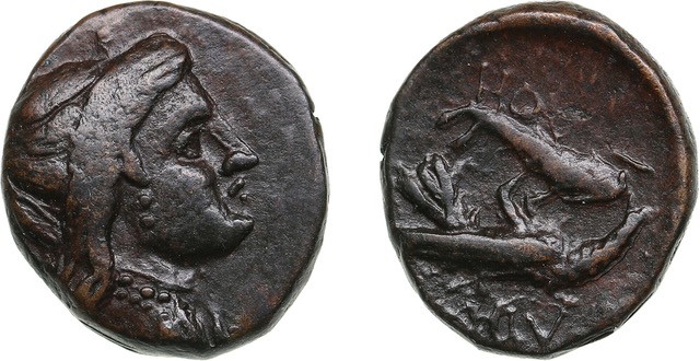 Skythia (Olbia) Æ17 (Dichalkon), c. 380-360 BC
4.19 g. 17 mm. Extremely rare co...