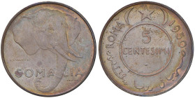 AFIS - 5 Centesimi 1950 Prova - Luppino 1889 nel nuovo "Prove e Progetti di Monete Italiane" CU RRR

FDC