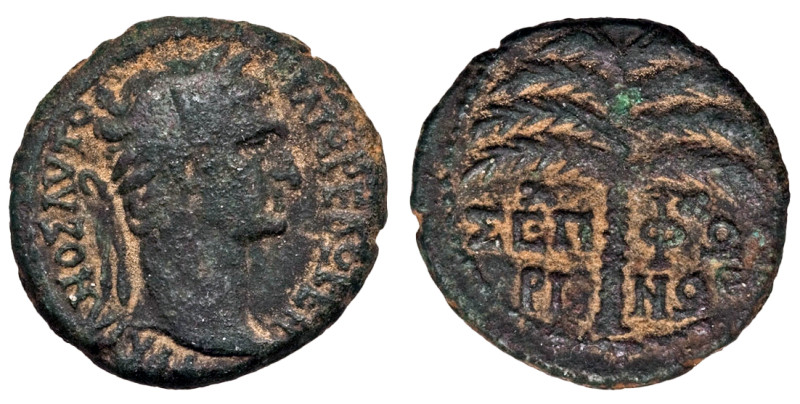 Judaea Galilee Sepphoris Trajan AD 98-117 AE23 NGC Fine

GALILEA, currently Is...