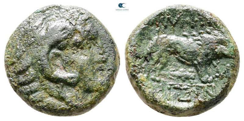 Macedon. Amphipolis circa 187-31 BC. 
Bronze Æ

15 mm, 4,02 g



Nearly V...