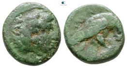 Kings of Macedon. Uncertain mint. Amyntas III 393-369 BC. Bronze Æ